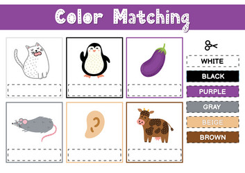 Cut & Match Color Sorting Game vector image