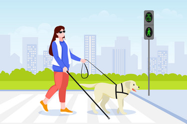 young blind woman crosses street road with guide vector