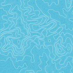topographic map background with space for copy vector image