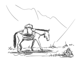 mule walking in mountains with load on his back vector