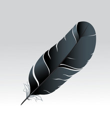 Vintage Feather Pen Drawing Royalty Free Vector Image