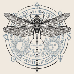 Dragonfly Amulet Banner Vector Image