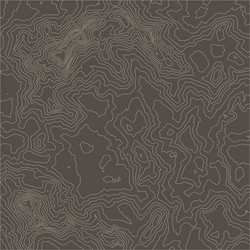Topographic Map Background - Abstract Terrain vector image
