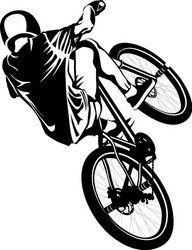 Bmx Royalty Free Vector Image - VectorStock