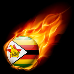 Round glossy icon of zimbabwe vector