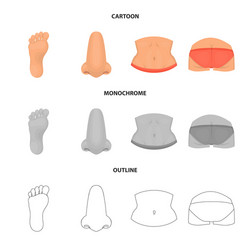 isolated object of body and part sign set vector