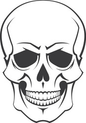 Isolated Skull Symbol Vector Image