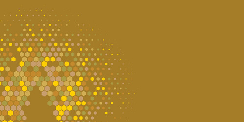 geometric multi size hexagon with color vector