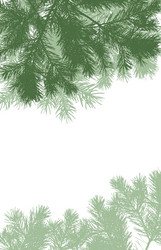frame of coniferous branches pine trees vector image