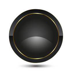 circle button for ui buttons luxury vector image