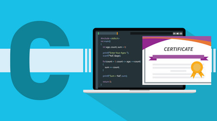 C sharp programming language certificate vector