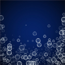 Random soap bubbles abstract background blowing b vector