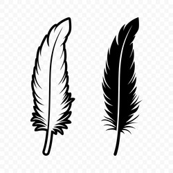 black and white fluffy feather logo icons Vector Image