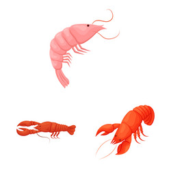 isolated object shrimp and crab icon set vector image