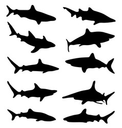 Shark Silhouettes Vector Image