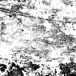 grunge overlay texture Vector Image