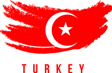 Turkey flag brush logo template design vector