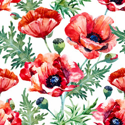 Watercolor Poppy Floral Pattern Vector Image