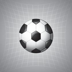 Football soccer vector