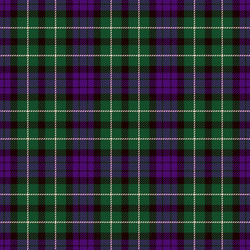 Scottish Tartan Pattern vector image