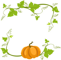 Pumpkin vine on a white background vector