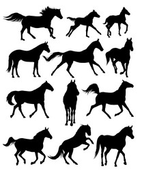 Horse Silhouettes Collection Vector Image