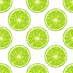 seamless pattern of lime slice citrus background vector image