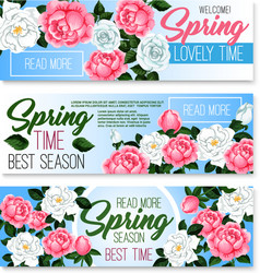 banners of spring time roses bunches vector