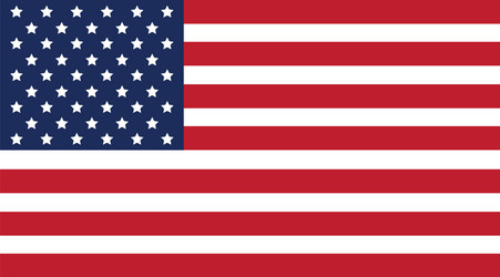 United States Flag vector