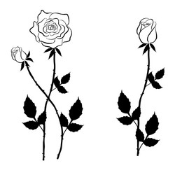 Black rose and buds in graphic style vector