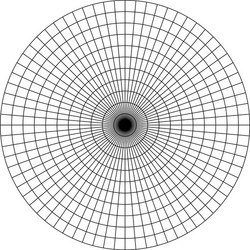 polar grid of 10 concentric circles and 5degrees vector image