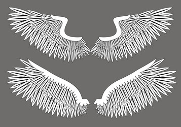 Set of wings Royalty Free Vector Image - VectorStock