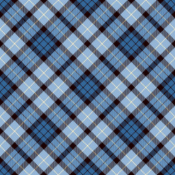 Tartan Plaid Pattern vector image