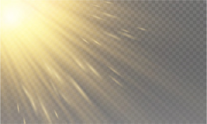 Transparent sunlight vector