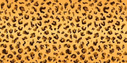 Leopard Print Pattern vector image
