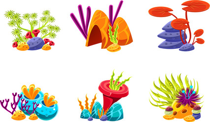 Flat set of compositions with marine algae vector