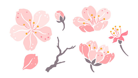 Set of sakura flowers beautiful decorative plants vector