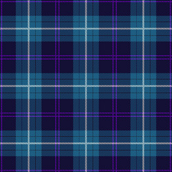 Tartan Plaid Pattern vector image