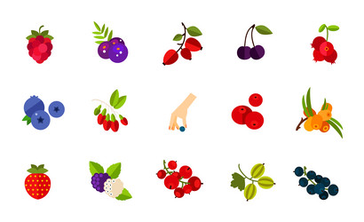 Wild and cultivated berries icon set Royalty Free Vector