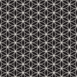 Geometric Lattice Pattern vector