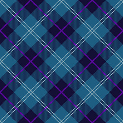 Tartan Plaid Pattern vector image