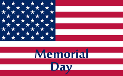 memorial day in the united states Vector Image