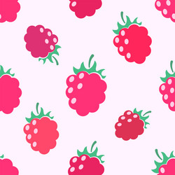 Raspberry Pattern vector