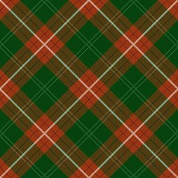 Tartan Plaid Pattern vector image