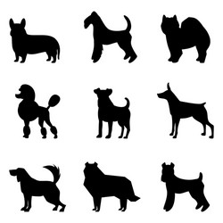 Dog Silhouettes Collection Vector Image