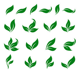 Set of green leaves icons Royalty Free Vector Image