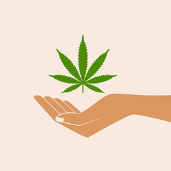 Hand holding marijuana leaf vector