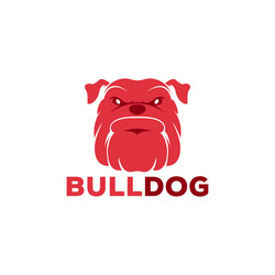 angry bulldog logo design vector