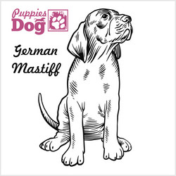 german mastiff puppy sitting drawing hand vector