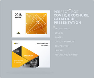 Smooth design presentation template with colourful vector
